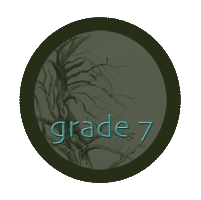 grade 7