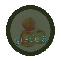 grade 8